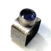 Eva Sherman | The Neptune Ring | Tuesday, February 1, 2022 | 6 pm until 9 pm - Image 2
