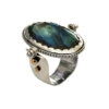 Robyn Cornelius | NEW! Double-Sided Flip Ring | Tuesday, February 1, 2022 | 8:00 AM - 4:30 PM