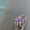 Studio Luna Verde | wild / crafted - elevated prong set ring | Tuesday, February 1, 2022 | 8:00 AM - 5:30 PM - Image 6