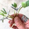 Nicole Ringgold | Found in Nature: an earrings class | Wednesday, February 2, 2022 | 9:00 am until 4:30 pm - Image 9