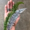 Nicole Ringgold | Forest Undergrowth: fern earrings | Sunday, January 29, 2023 | 8:00 am until 5:30 pm - Image 3