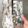 Nicole Ringgold | ***NEW SECTION ADDED*** Forest Undergrowth: lichen-on-bark cuff | Tuesday, January 31, 2023 | 8:00 am until 5:30 pm - Image 5