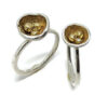 Robyn Cornelius | Gold Nest Rings | Saturday, January 28, 2023 | 6:00 PM - 9:00 PM