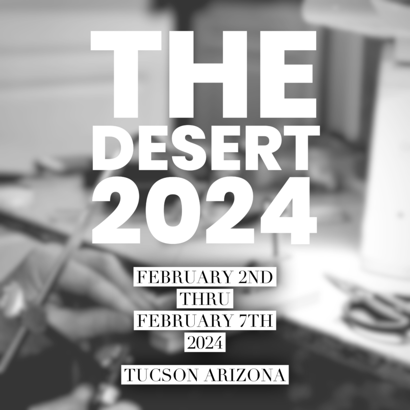 THE DESERT 2024
